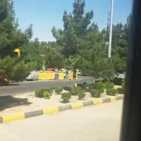 جویای کار