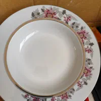 2دست خورش خوری  زرین  طرح سان فلاور با جعبه نو نو