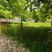 220مترزمین-بامجوزساختی