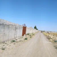 زمین باغی