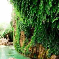 سفر یکروزه تنگ بی بی سیدان