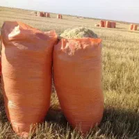 کاه گندم و جو