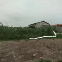 زمین مسگونی تکبرگ سند  مسگونی