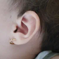 حلقه گوشواره گمشده