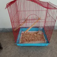 قفس شیک