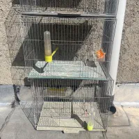چند عدد قفس با وسایل