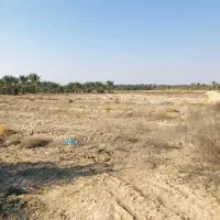 150تا-مخ-و-650-تا-جای-دیمیت