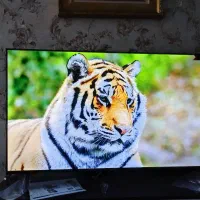 تلویزیون دوعددمیدیااستار۴۳اینچ دوگیرند هوشمند پلمپ
