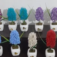 سنبل شب عید