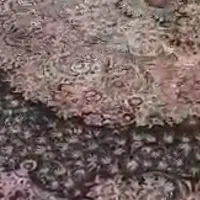 فرش ۱۲۰۰ شانه