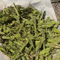 سبزی|عمده‌فروشی|دلگان, |دیوار