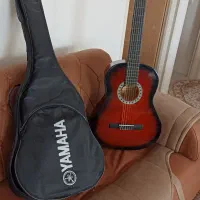 گیتار نو به همراه کیف