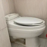 توتلت فرنگی