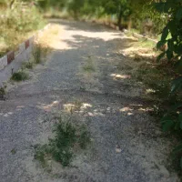 باغ منطقه سردسیری چهارگنبد