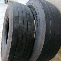 لاستیک بلک لاین