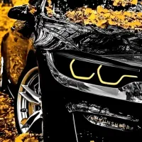 خدمات واکس و پولیش سیار و در محل