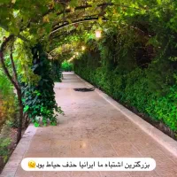 کارگر خانم