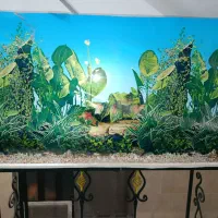 آکواریوم بزرگ