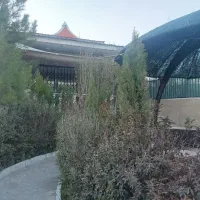 ویلا باغ  فلت 285