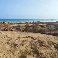 زمین-فروشی