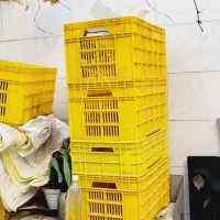 سبد و میز مرغ فروشی