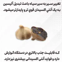 سیر سیاه|خوردنی و آشامیدنی|ری, دولت‌آباد|دیوار