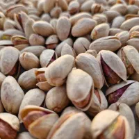 پسته درجه یک احمداقایی اکبری بادامی در حد صادراتی