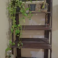 استند گلدان چوبی