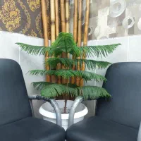 بلوارخزر شیمی صنعتی ۱۲۵متردوخواب طبقه اول رهن۱/۷۰۰