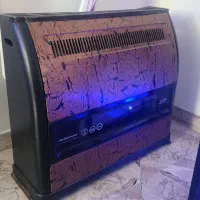 بخاری بزرگ نو