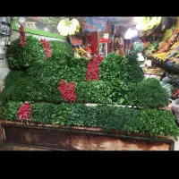 کارگر خانوم برای میوه فروشی