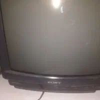 تلویزیون