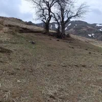 مشارکت ساخت زمین۳۰۰متردرخیابان ایثارکوچه ایثار ۱