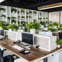 استخدام کارشناس هماهنگ کننده خانم (اصفهان )