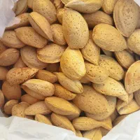 بادام تلخ