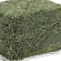 خریدار یونجه نو شین شهر و اطراف