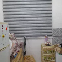 زبرا