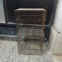 قفس