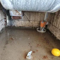کولر 5000بالا زن گرمای جنوب