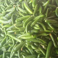 خیارسبز محلی عمده کیلو 55