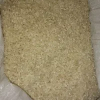 فروش برنج هاشمی