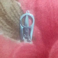 گیچی تاشو