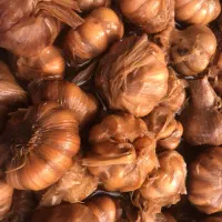 فروش عمده زیتون روغن زیتون ترشی جات وسیر رودبار