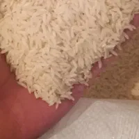 برنج هاشمی