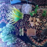 وسایل کامل آکواریوم