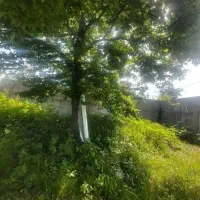 باغ ۳۰۰متر موقعیت مناسب برای ساخت ویلا