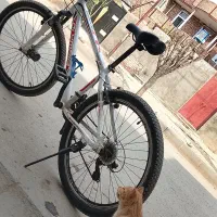 المپیا اصلی
