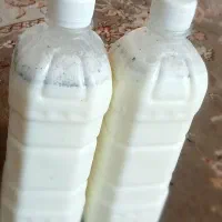 دوغ محلی