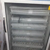 دستگاه جوجه کشی