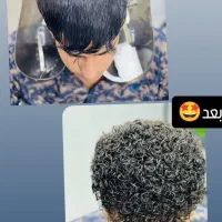 فر مو. فر شش ماهه. فرداعم